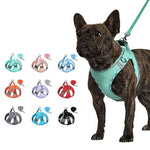Reflective no-pull dog harness with matching leash