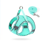 Mint green reflective no-pull dog harness with matching leash