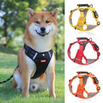 Dog wearing reflective harness with black red and orange color options