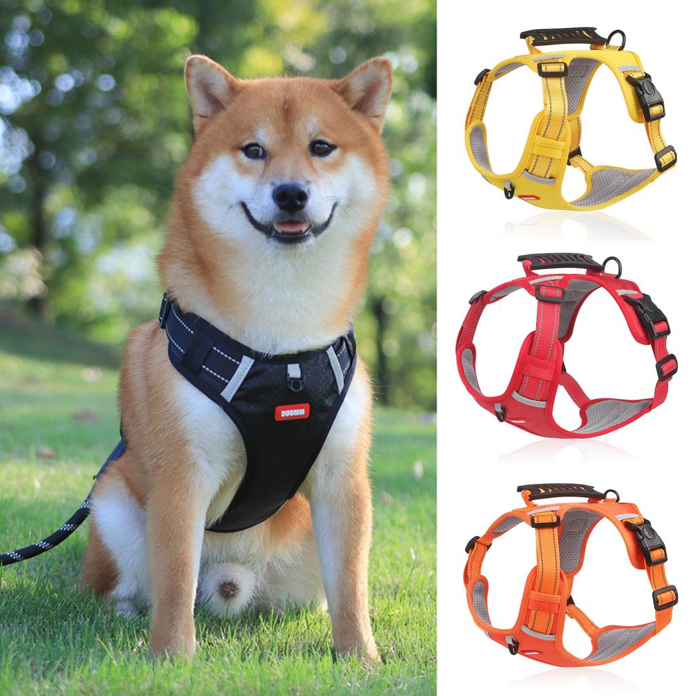 Dog wearing reflective harness with black red and orange color options