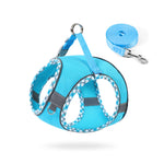 Bright blue reflective no-pull dog harness with matching leash