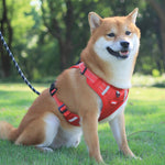 Orange breathable reflective no-pull dog harness