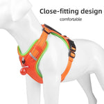 Close-fitting orange reflective dog harness shown on dog model