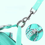 Close-up of leash clip and buckle on mint dog harness