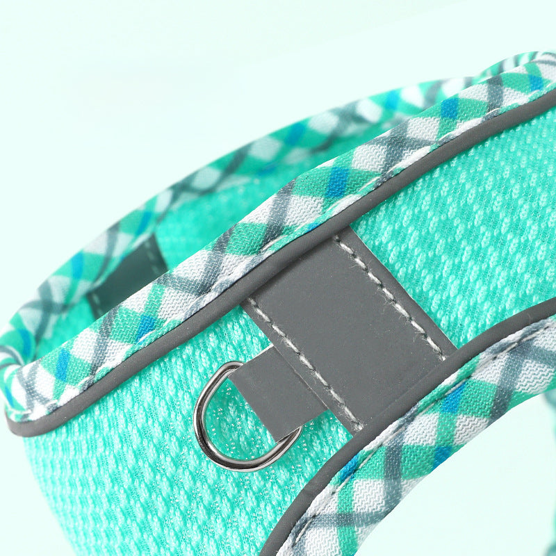 Close-up of metal leash ring on mint reflective dog harness